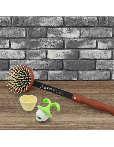 英國熊舒壓按摩組-盒裝