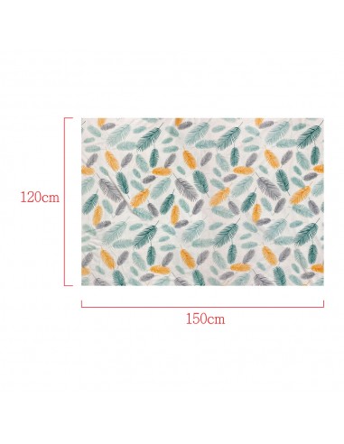 安妮兔法蘭絨毯羽葉120*150盒裝