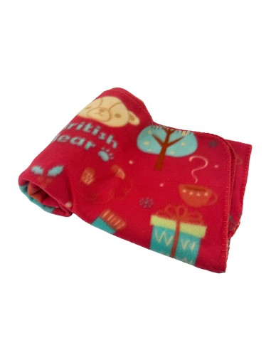 英國熊冷氣毯90*150-新遊樂(盒)