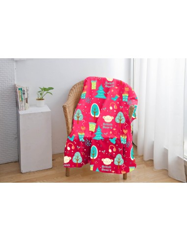 英國熊冷氣毯90*150-新遊樂(盒)