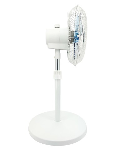 英國熊12吋3D立體循環 扇-牛皮盒