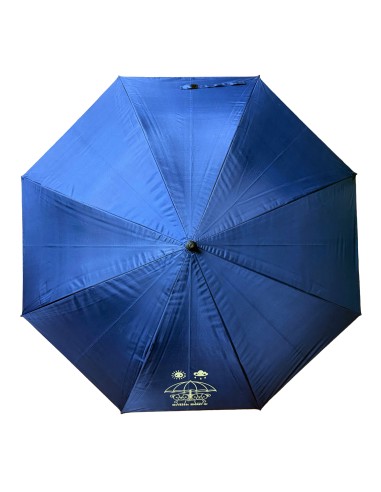 英國熊雙人防風遮光自動直傘