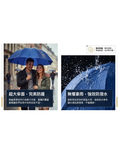 英國熊雙人防風遮光自動直傘