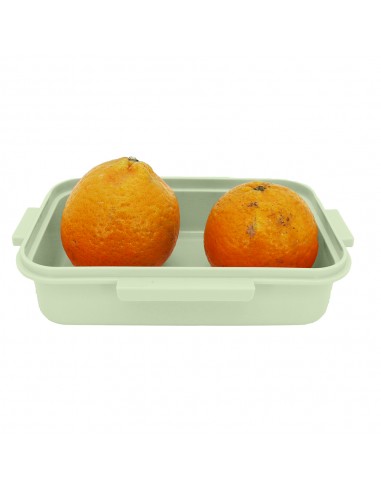 安妮兔彈力蓋保鮮盒 1000ML-綠色