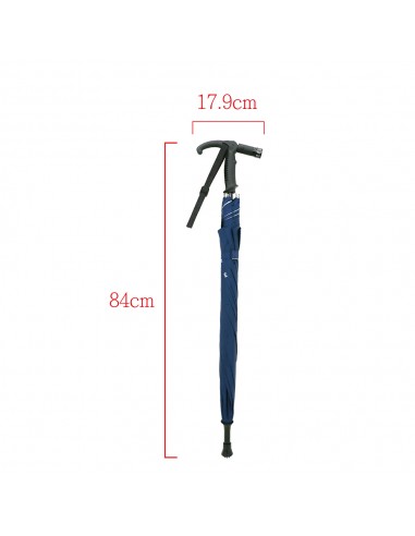 安妮兔23"LED燈防風直 傘(盒裝)