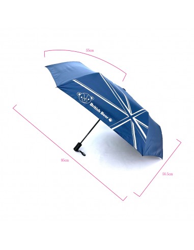 英國熊自動開收摺疊傘-藍