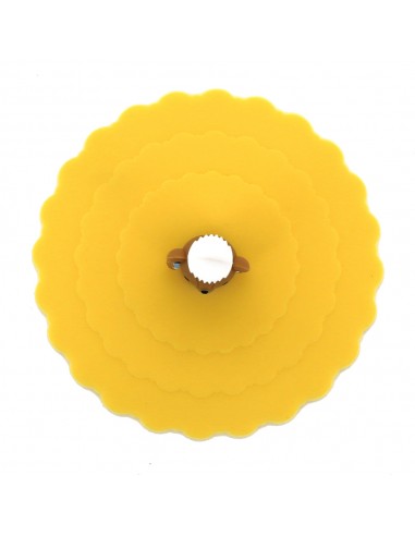 英國熊耐熱矽膠杯蓋(盒裝)