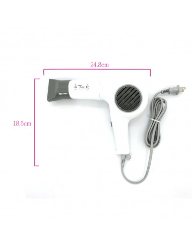 安妮兔台製吹風機