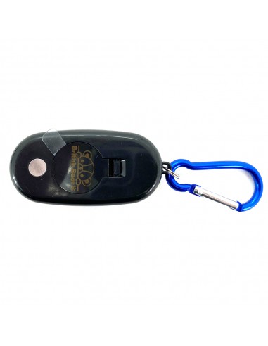 英國熊三段LED燈鑰匙圈-二代