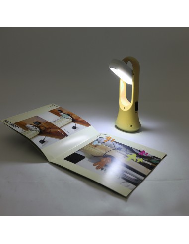 英國熊二合一手電筒露營檯燈(盒裝)