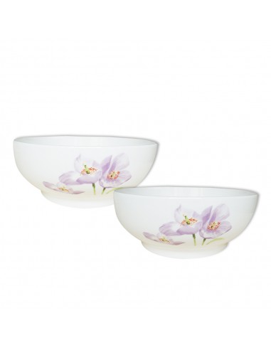 桔梗花7"拉麵碗2入