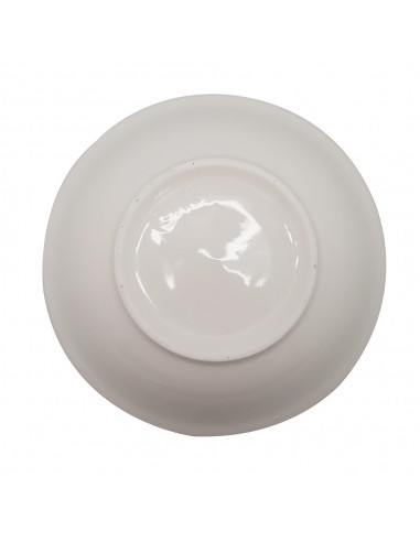 雙魚8吋拉麵碗1入