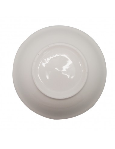 雙魚8吋拉麵碗2入