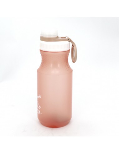 英國熊環保隨身瓶600ml-二入