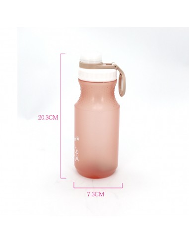 英國熊環保隨身瓶600ml-二入