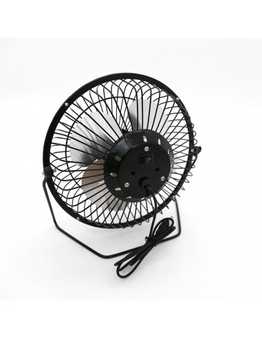 英國熊六吋USB風