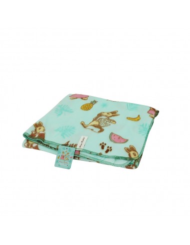 台製安妮兔冷氣毯4*5-粉綠 (盒裝)