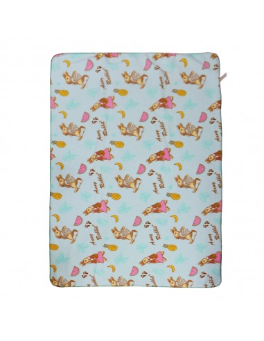 台製安妮兔冷氣毯4*5-粉綠 (PP袋)