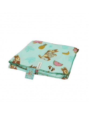 台製安妮兔冷氣毯3*5-粉綠 (盒裝)