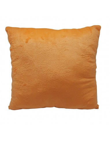 英國熊抱枕-30x30cm