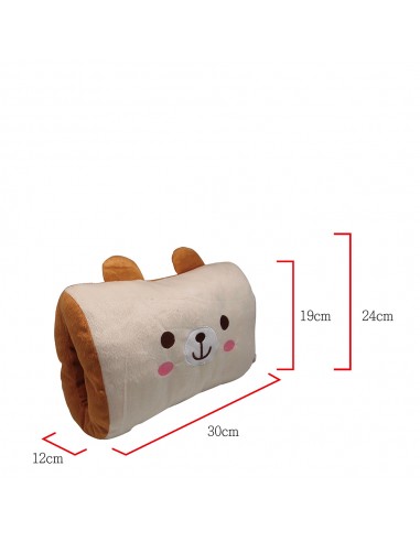 英國熊暖手抱枕