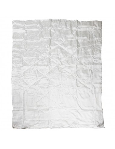 新機能蠶絲被胎5X6