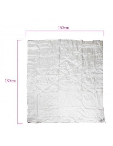 新機能蠶絲被胎5X6