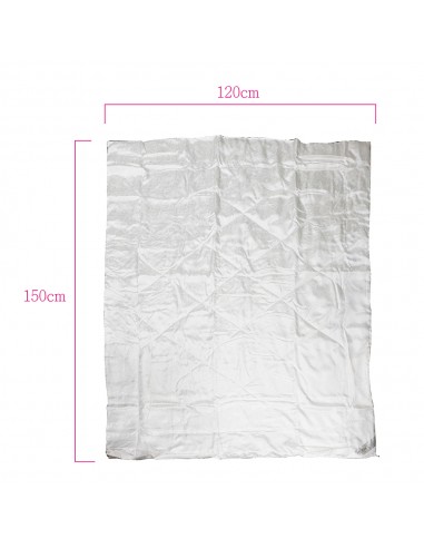 新機能蠶絲被胎4X5