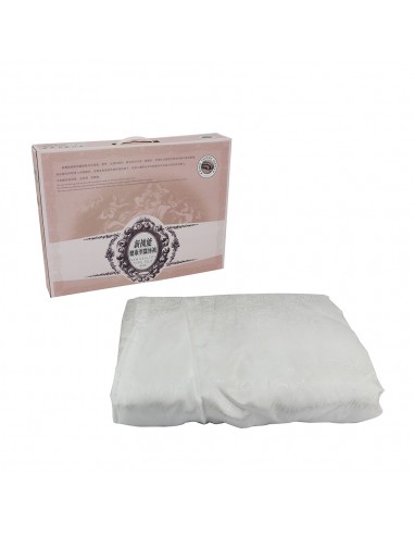 新機能蠶絲被胎4X5