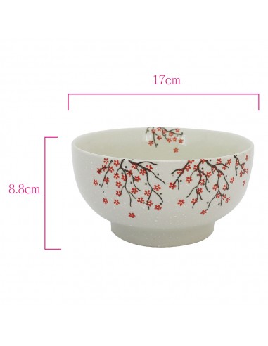 白雪櫻花6.75"拉麵2碗2筷