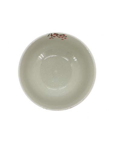 白雪櫻花6.75"拉麵2碗2筷