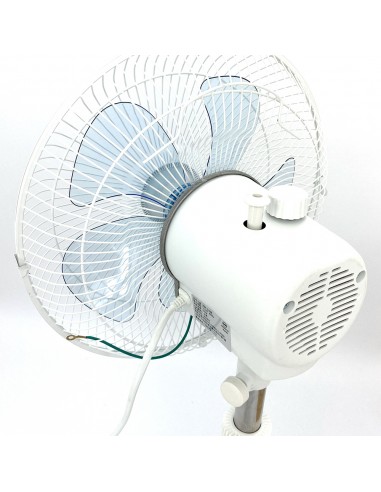 英國熊12吋3D立體循環扇-白色款(盒裝)