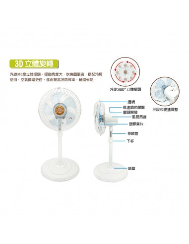 英國熊12吋3D立體循環扇-白色款(盒裝)