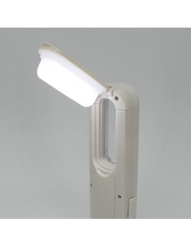 英國熊三合一LED手電筒檯燈